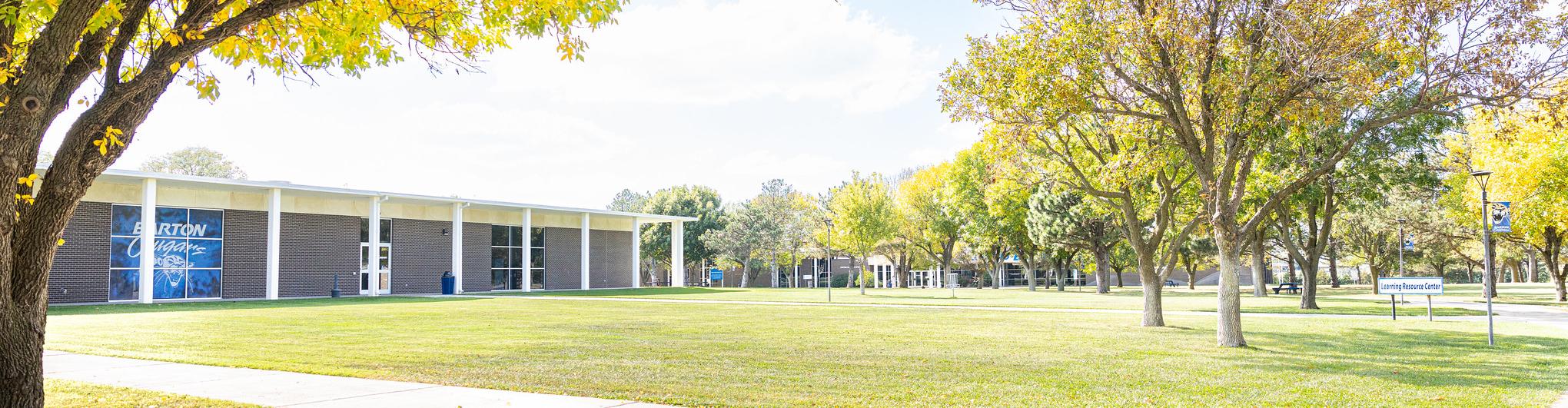 trees on campus in the fall